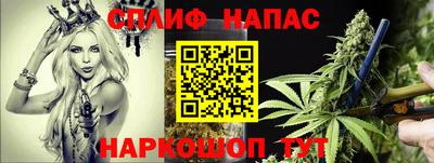 тгк Можга