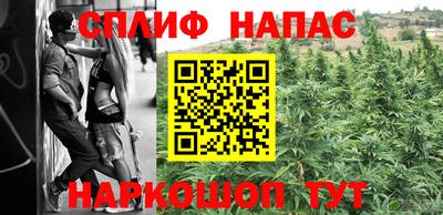 тгк Можга